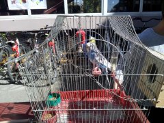 IMG_20171004_125732.jpg